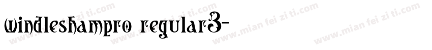 windleshampro regular3字体转换